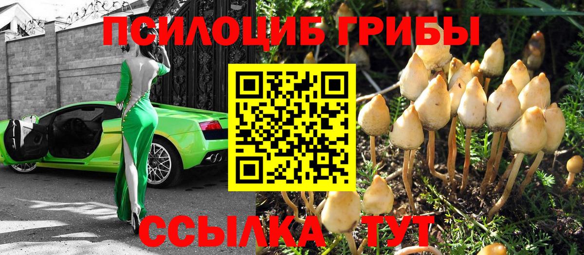закладки  Псилоцибиновые грибы GOLDEN TEACHER  Вход с VPN  Волжск 