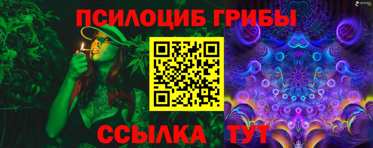 Галлюциногенные грибы Psilocybe Волжск